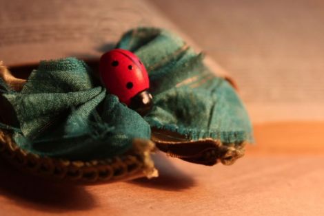 Agrafa Bohemian Ladybug