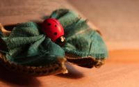 Agrafa Bohemian Ladybug