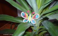 Magnet de frigider