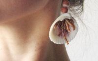 Cercei scoica Iris