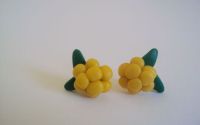 cercei fimo zmeura