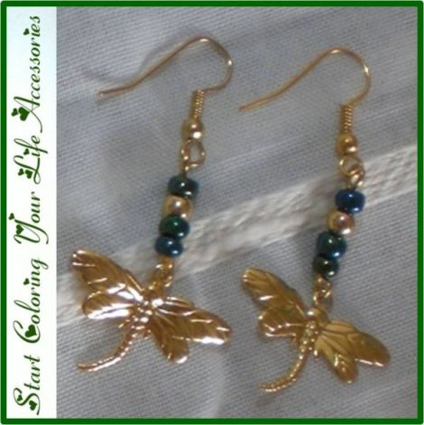 Cute dragonfly