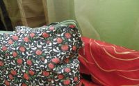 Perne Handmade Flower Story: Red Roses