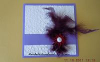 Invitatie nunta handmade cu pene.