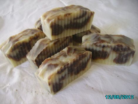CACAO SI PUDRA DE ROSCOVE