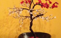 pomisor feng shui