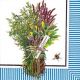 Servetel Herbes de Provence