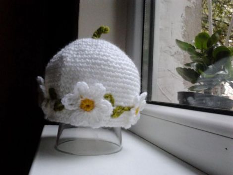 Daisy
