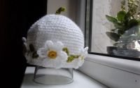 Daisy