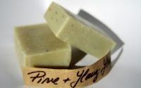 Sapun cu pin