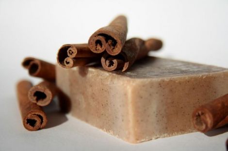 Sapun Cinnamon and Lemon