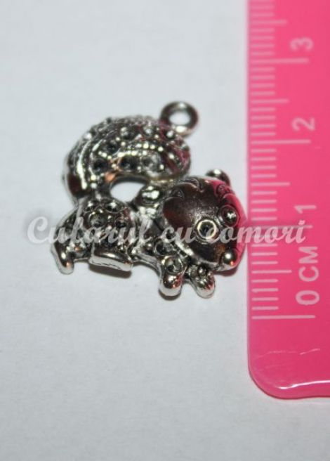 Charm veverita