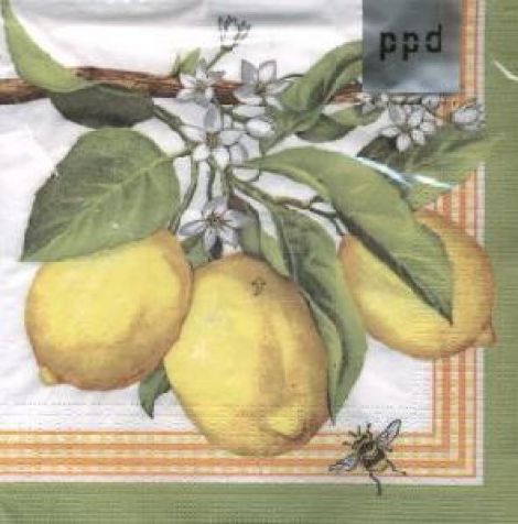 Servetel lemon