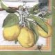 Servetel lemon