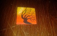 magnet pentru frigider