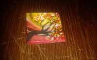 magnet pentru frigider
