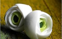 Ranunculus alb