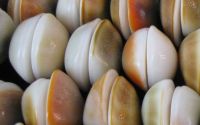 Shell beads Scoici